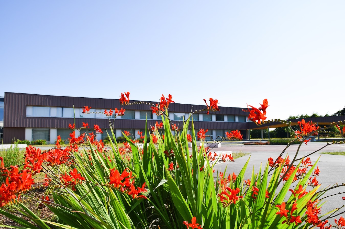 Logo Défi santé et lutte contre la sédentarité Lycée Jean Brito